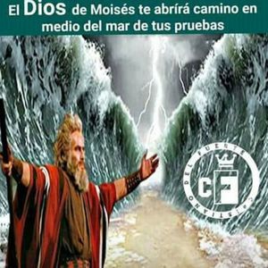 Meet your Posher, Katherine